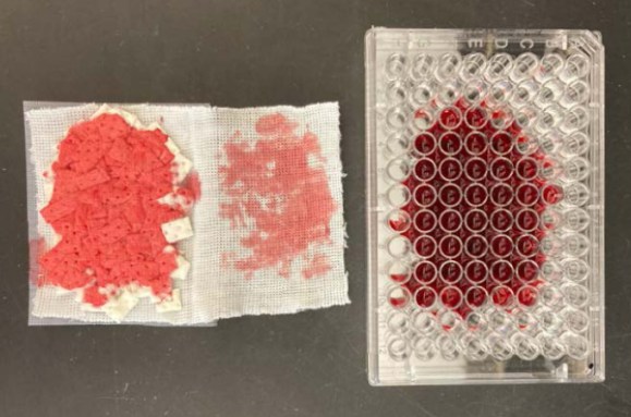 A photo of two gauze pads with commercial period pad filler (left) soaked with menstrual blood, as well as a 96-well plate filled with period blood (right) on a black lab bench.