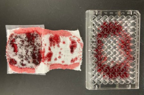 A photo of gauze pads with polyacrylate polymer (left) soaked with menstrual blood, as well as a 96-well plate with period plate (right) on a black lab bench.